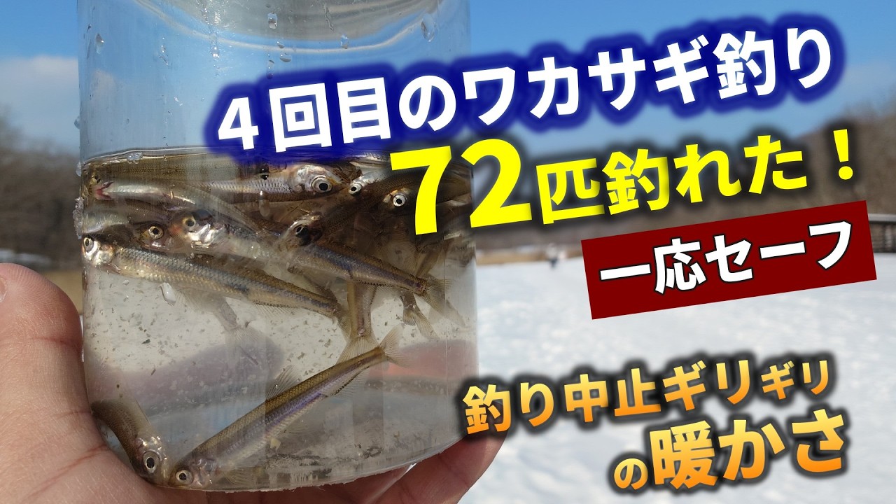 残り1回で98匹...累計500匹はかなり厳しい【ワカサギ釣り№4】