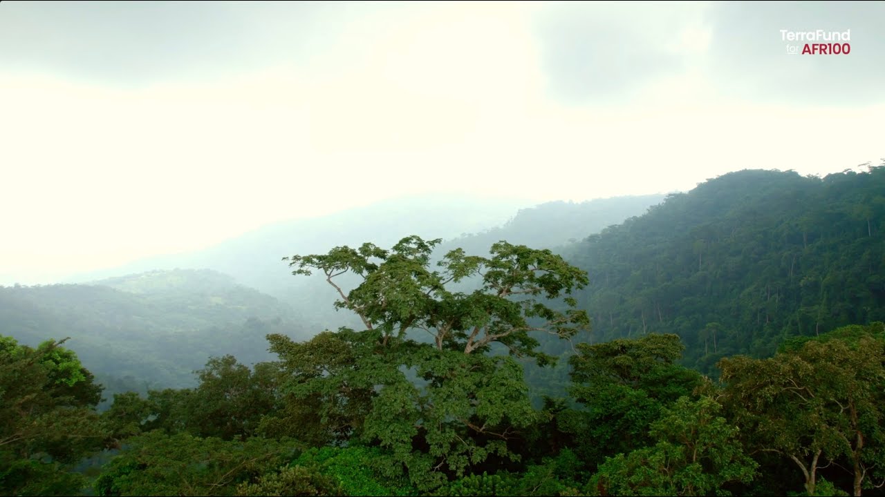HERP Ghana -  Land Restoration Initiative | AFR100