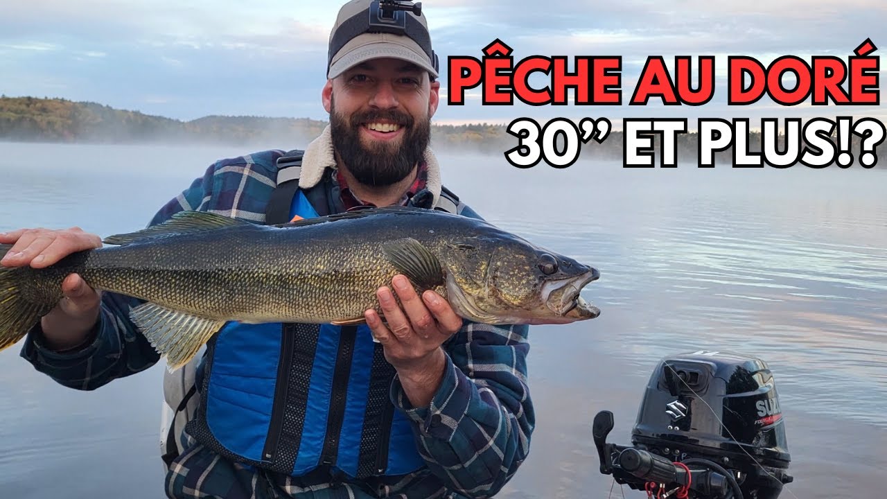 Pêche au doré énormes en Outaouais - Lac Bryson