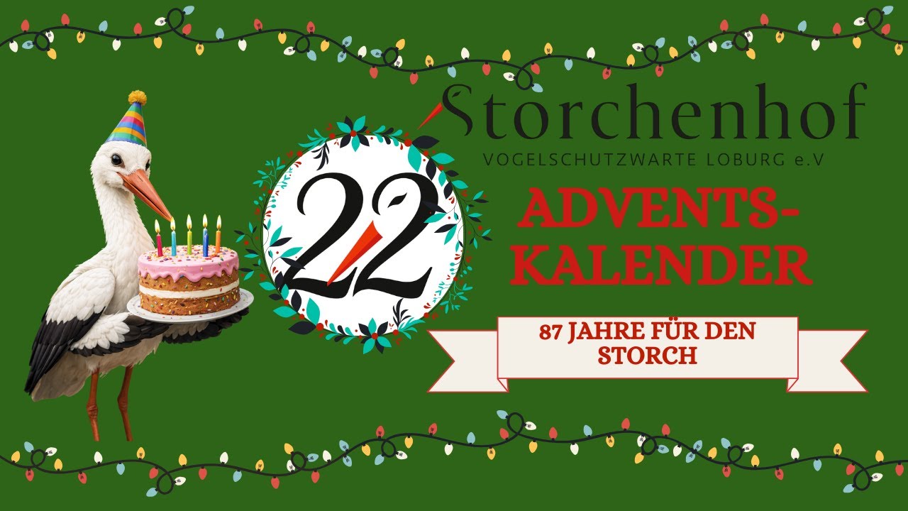 Türchen #22 Ein Leben für die Störche