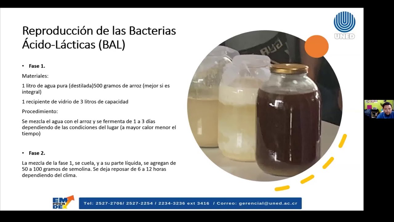 Agro y más: Bacterias acidolácticas y bioles enriquecidos
