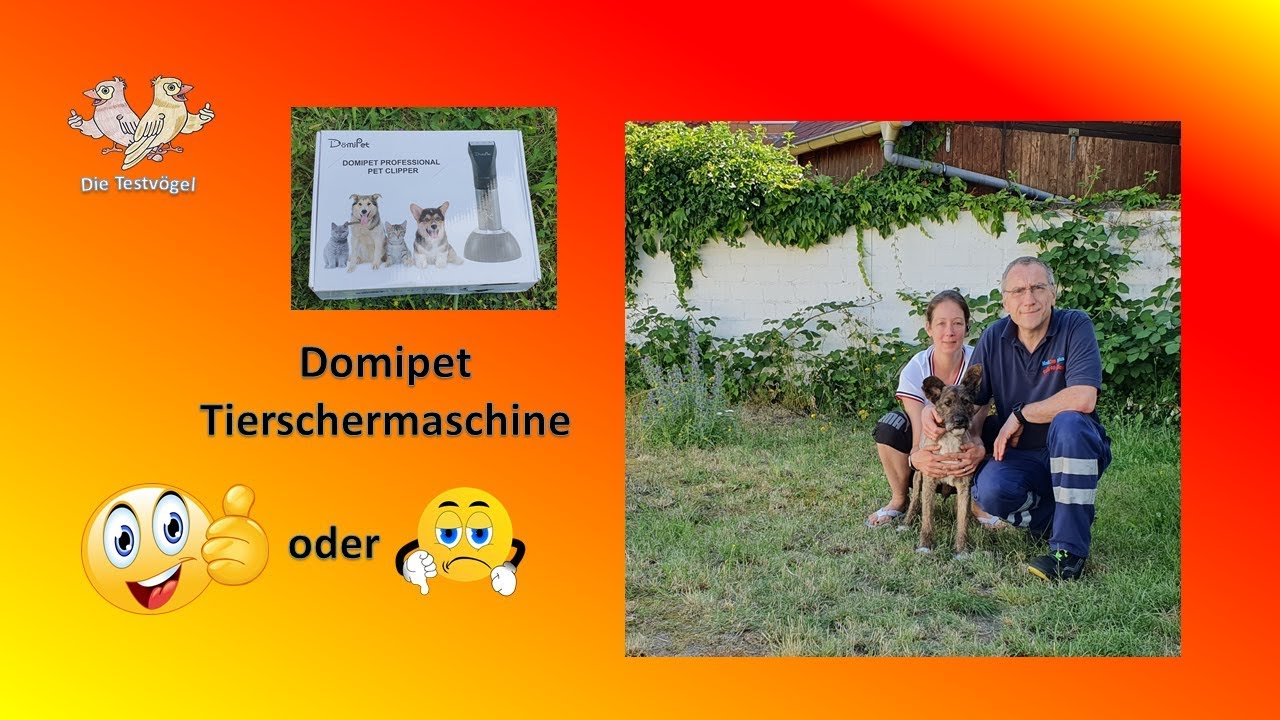 Domipet Schermaschine ! Unser Erfahrungsbericht im Test mit Hunden.