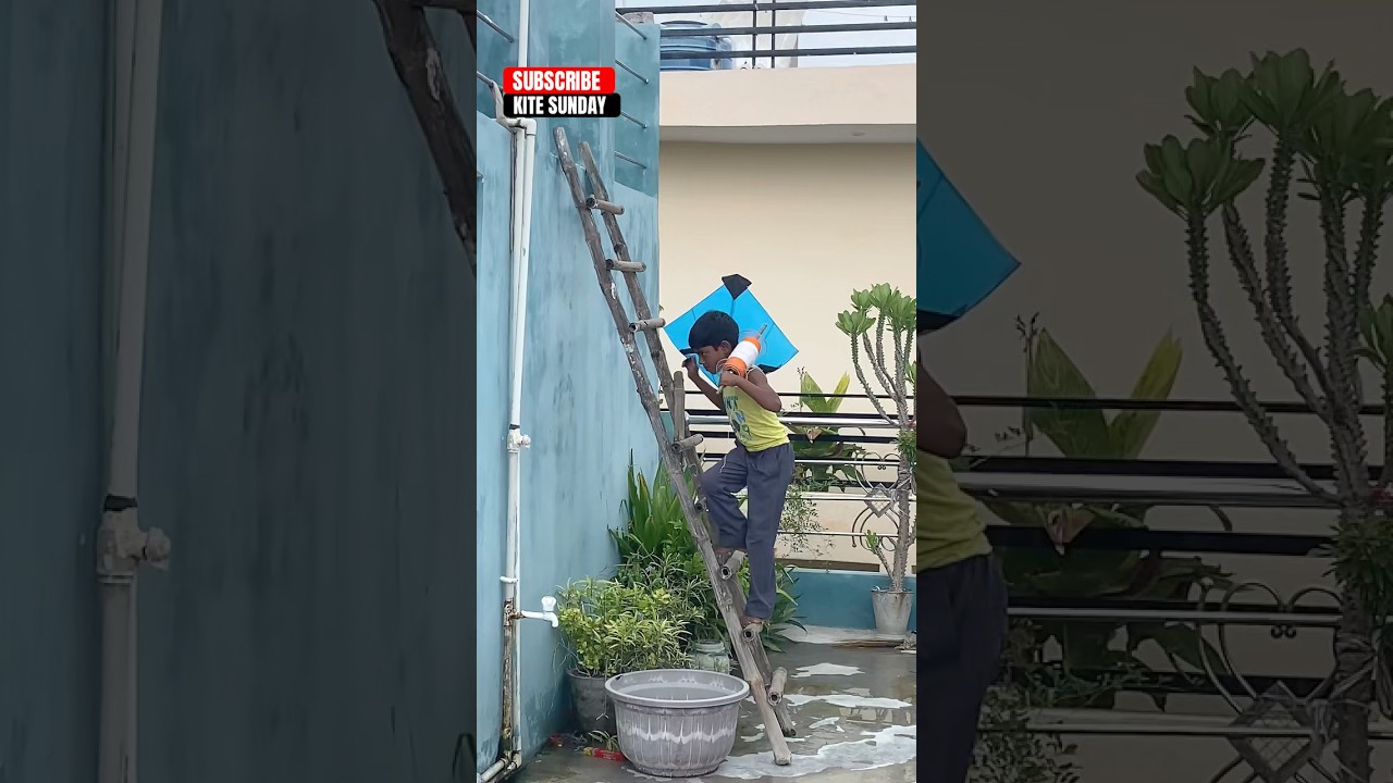 Kite Flying 🥵perfect Fighting l #viralvideo #kitelover #kiteflying #shortsfeed