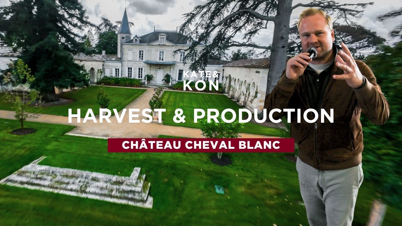 CHÂTEAU CHEVAL BLANC - HARVEST & PRODUCTION | «Bordeaux Unfiltered»