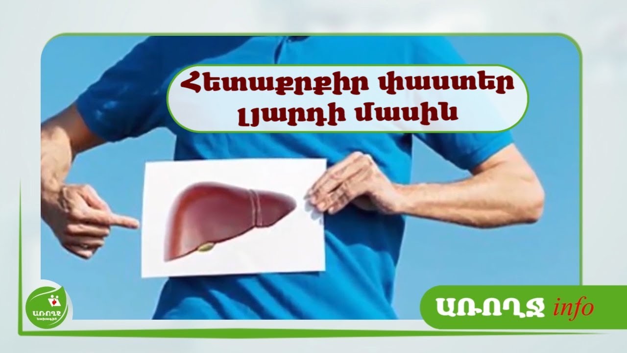 Հետաքրքիր փաստեր լյարդի մասին - 