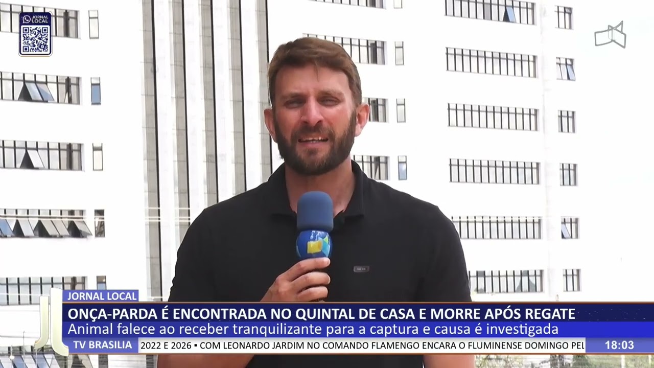 JL - Onça-parda é encontrada no quintal de casa e morre após regate