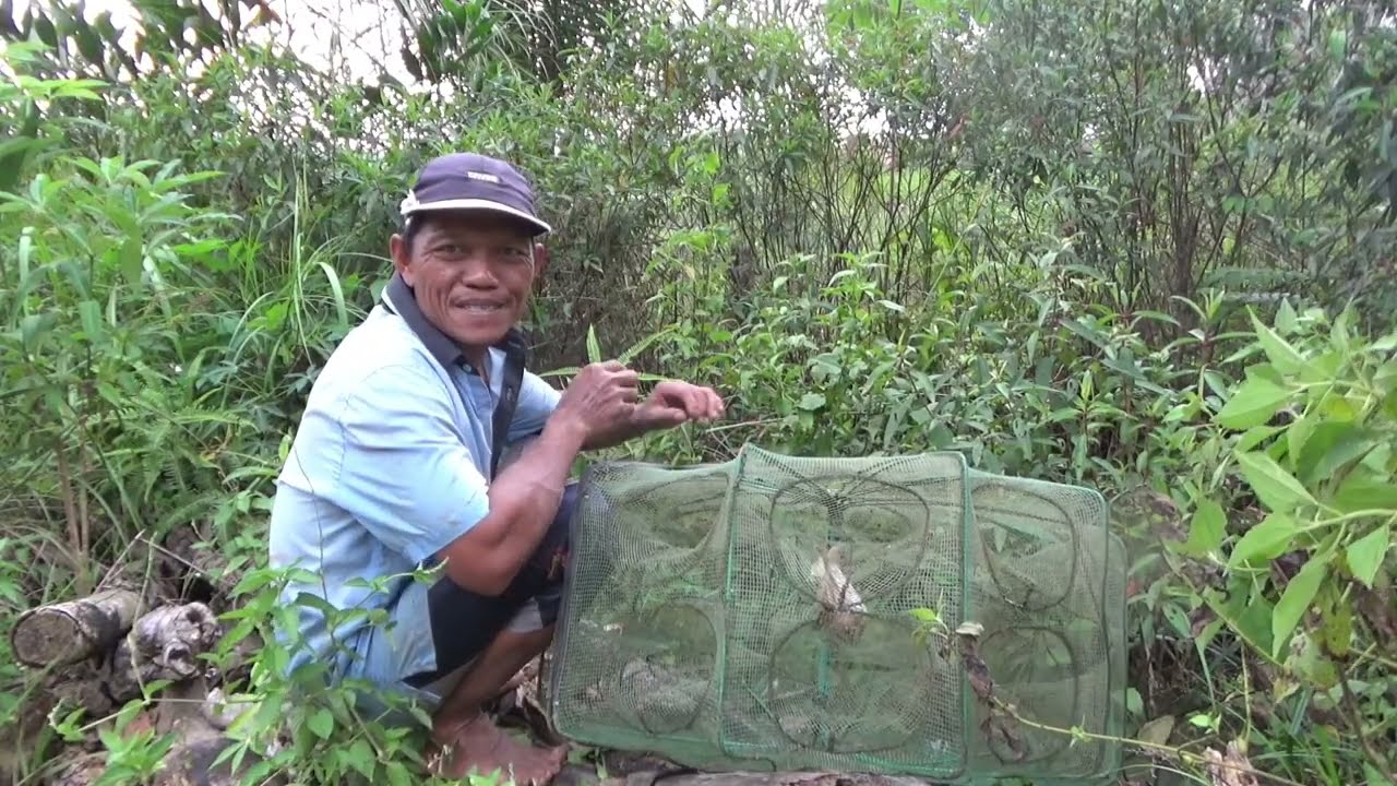 Pasang perangkap bubu lipat di parit semak belukar #DB-490