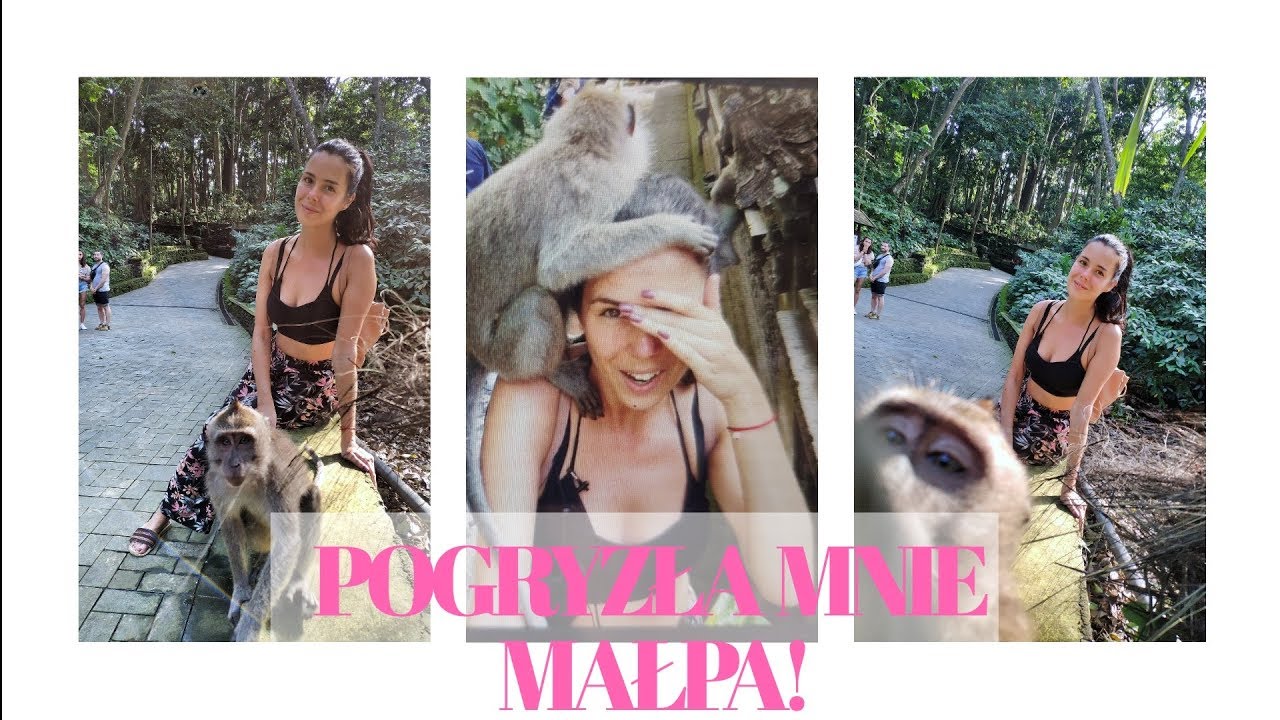 POGRYZŁA mnie MAŁPA! Światynia małp w UBUD na BALI