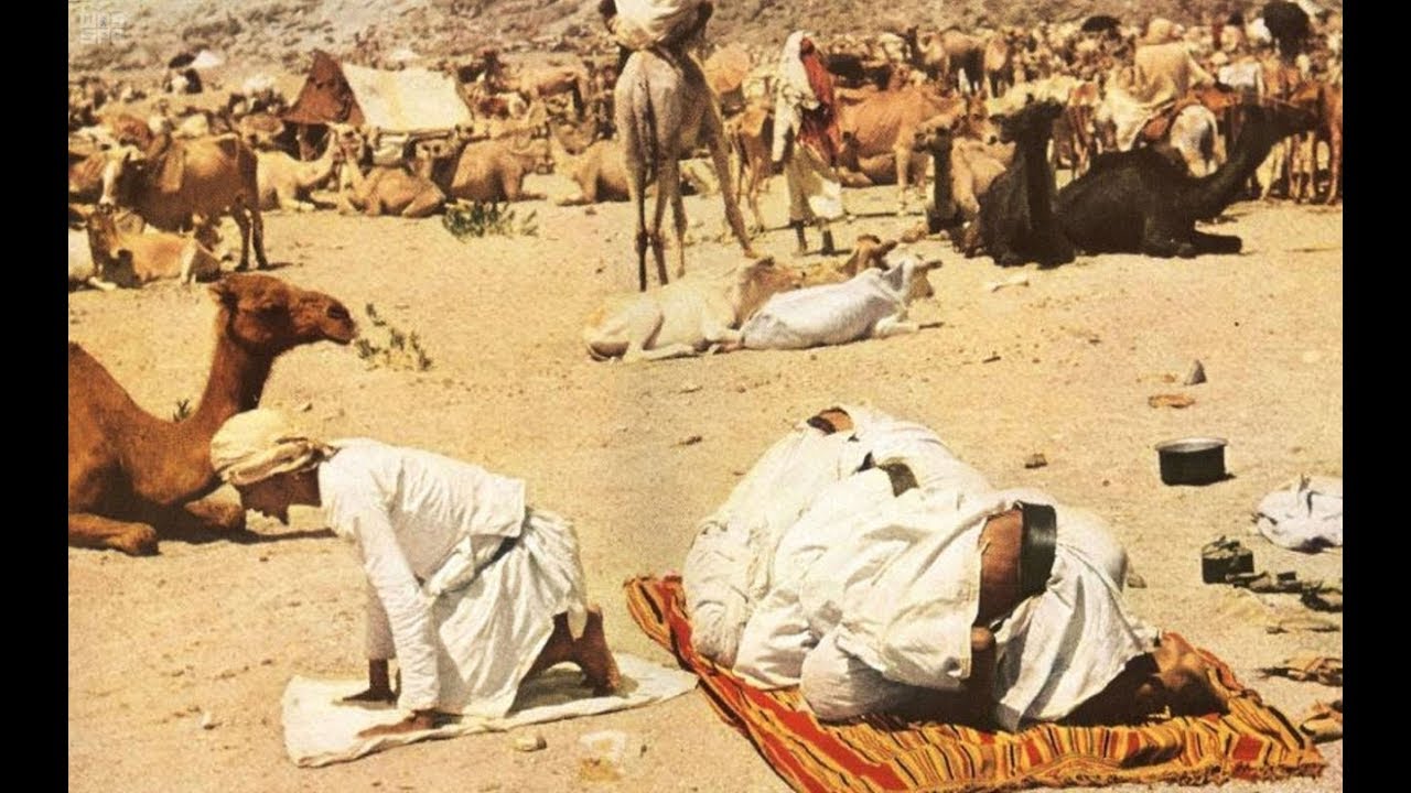 علم المغازي و السير يعتمد على علم الانساب