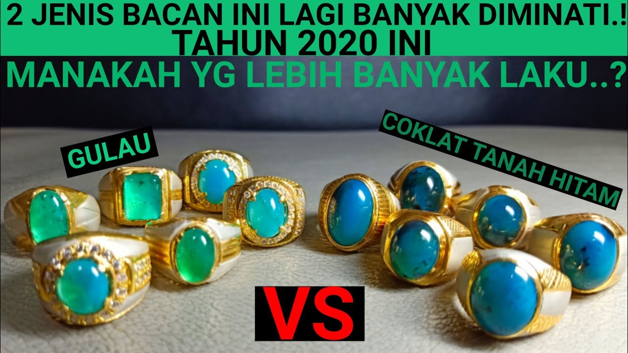 BACAN GULAU vs BACAN COKLAT TANAH HITAM #LagiSangatDiburu..! MANAKAH YG LEBIH BANYAK DIMINATI.?