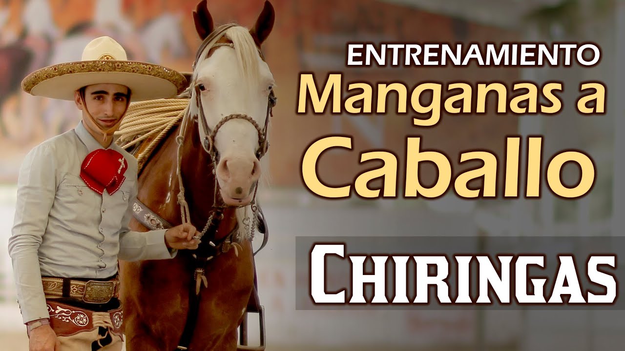 ENTRENAMIENTO José Andrés CHIRINGAS Aceves - Manganas a Caballo