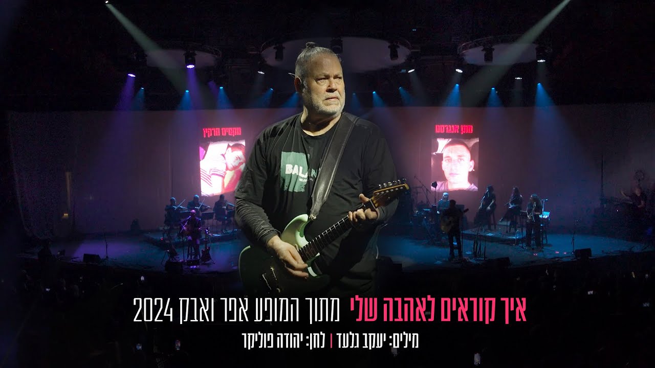 יהודה פוליקר - 