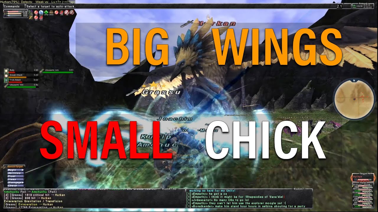 FFXI Marjami Ravine Wildskeeper Reive Hurkan Fight - Thief Ninja with Trusts