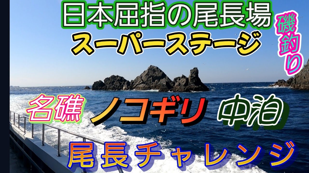 3/5【愛南町中泊】【名礁ノコギリ】　尾長チャレンジ成功なるか❗ノコギリとコケの水道水中映像アリ