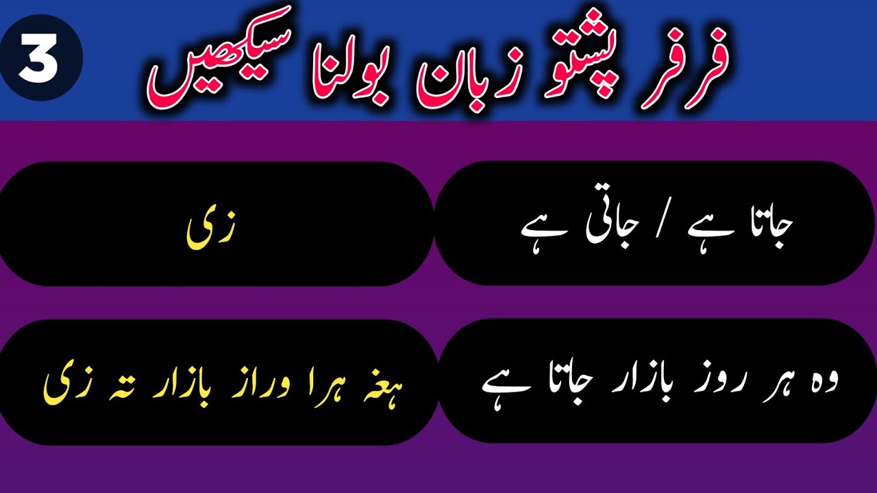 Pashto basic in urdu for beginners | learn daily routine pashto in urdu | learn basic pashto in urdu