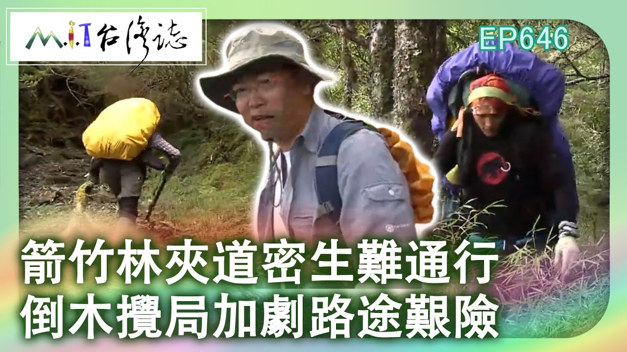 箭竹林夾道密生難通行　倒木攪局加劇路途艱險【台灣誌 #646】能高越嶺 原始舊路初探 迢迢榛莽路駐在所同在_20141102 @ctvmit