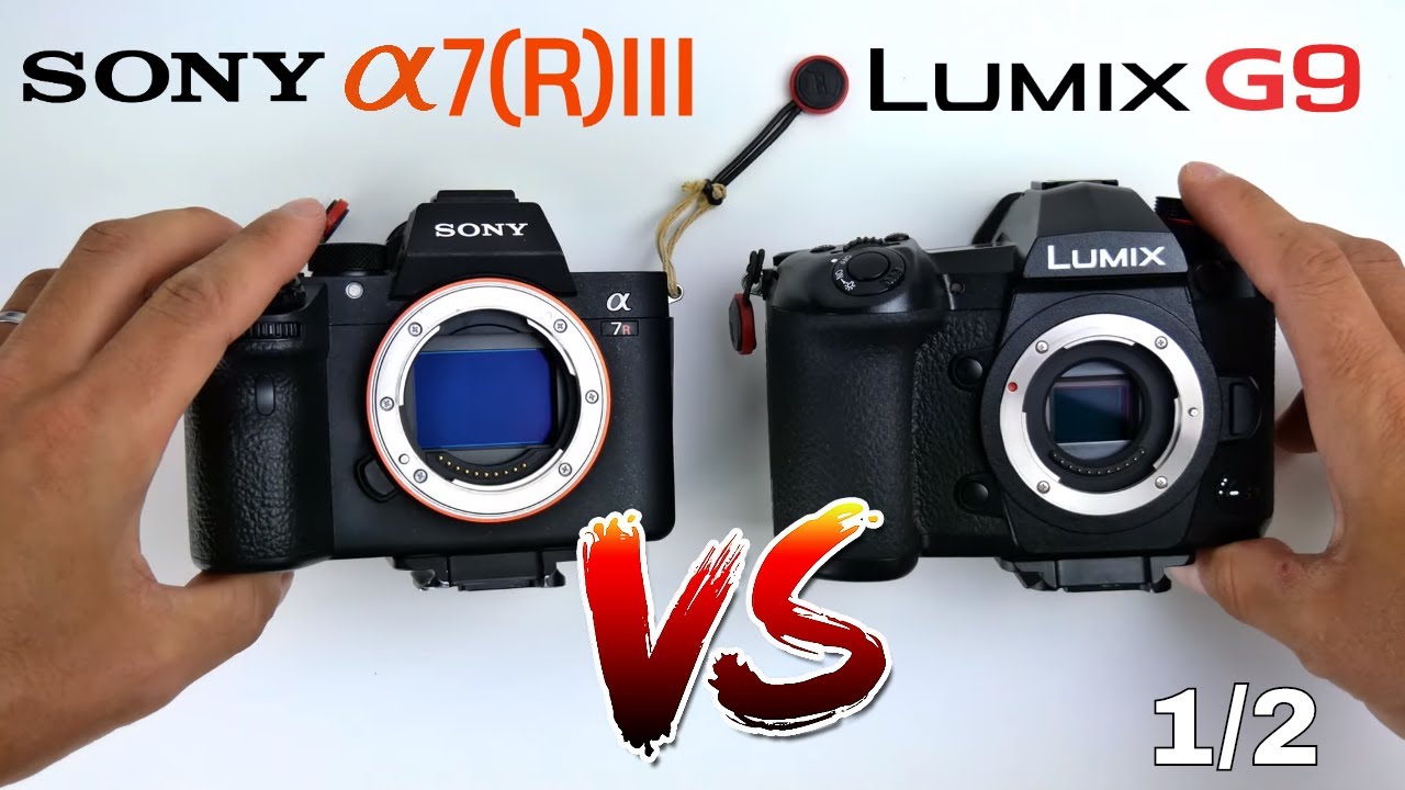 Panasonic Lumix G9 vs Sony A7iii / A7Riii, raison du choix et ergonomie générale - partie 1/2