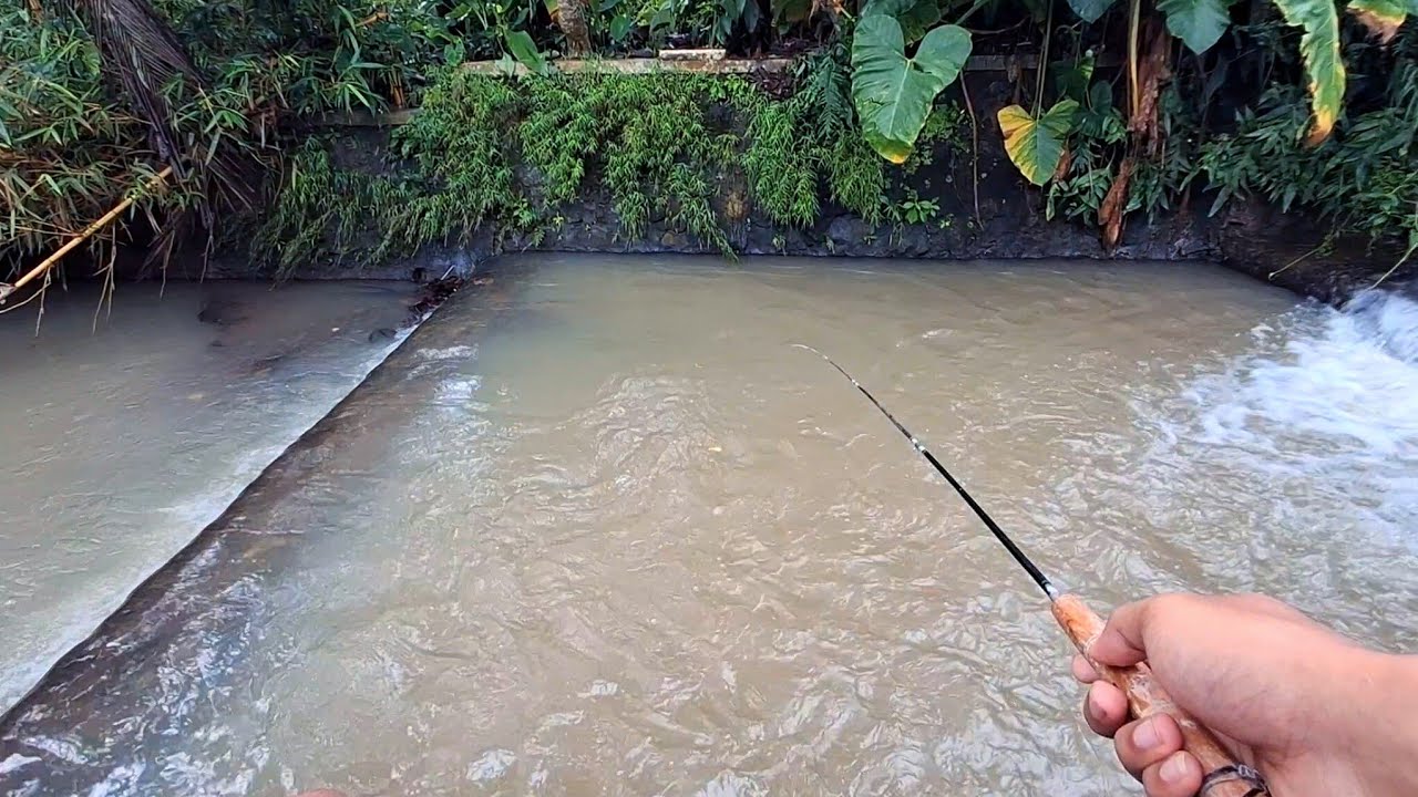 JOSJIS !! CEK SPOT WADERAN DI SUNGAI KECIL SETELAH HUJAN