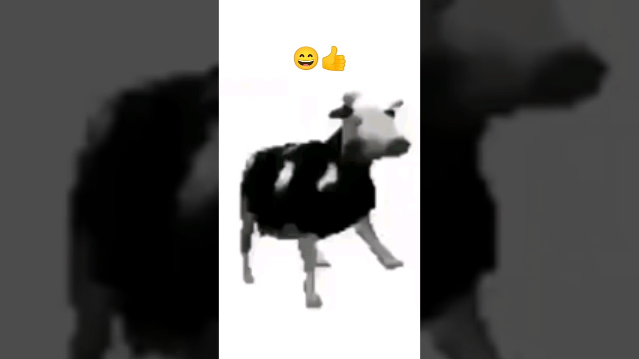 vaca bailando