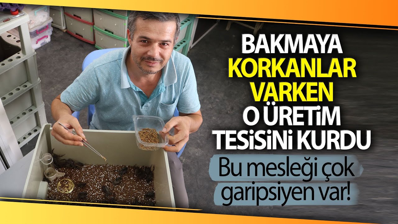 300 Akreple Başladı, Hedefi Yurt Dışına Zehir Satmak
