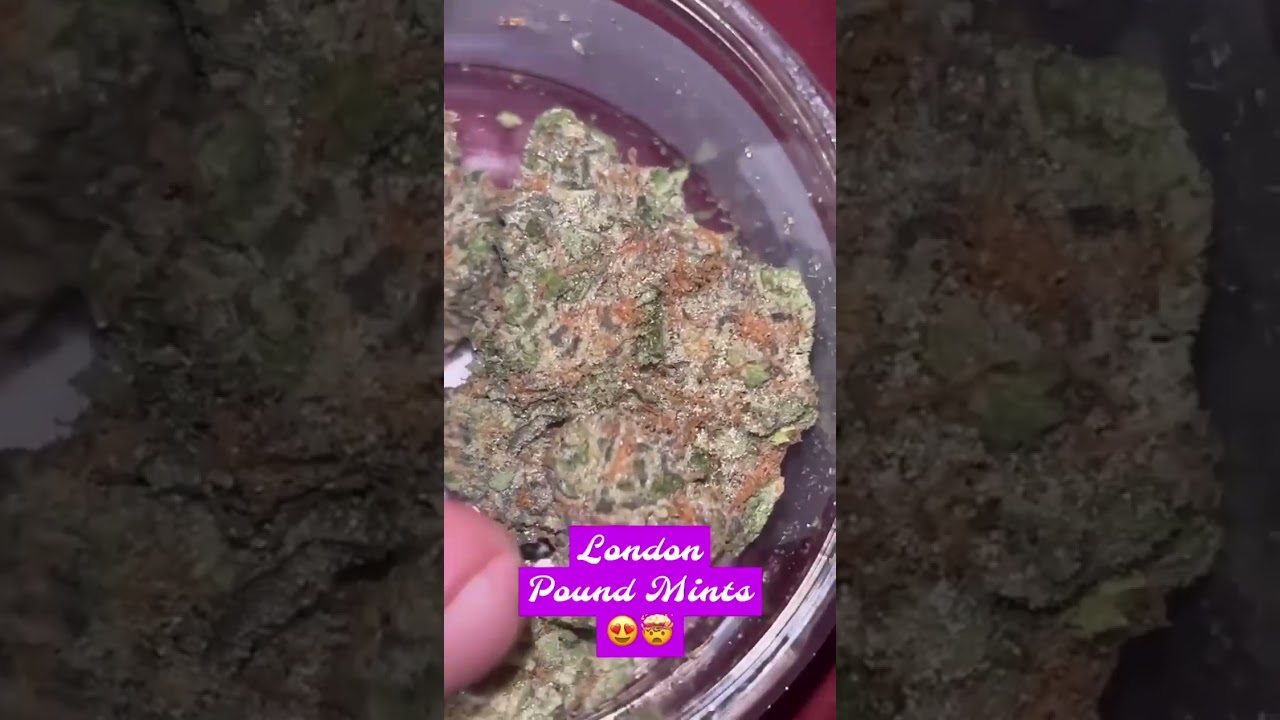 London Pound  Mints by Cresco 27.28% of Fire