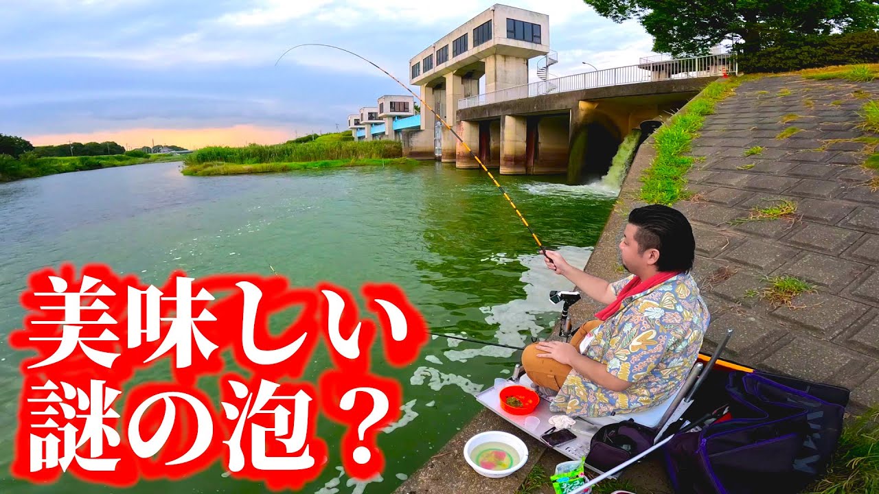 謎の泡ができる水門前の澱みに向かって釣りをする