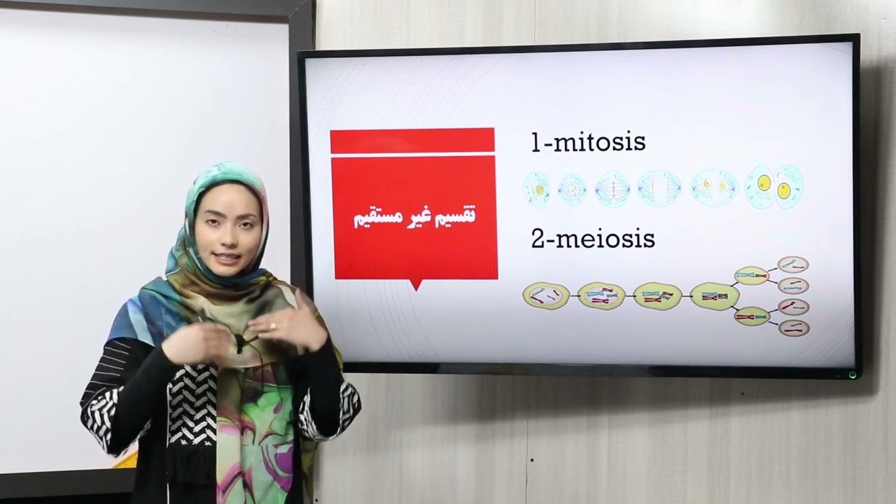 29.صنف یازدهم-مضمون بیولوژی-دوران حجره و تقسیم حجروی، تقسیم مستقیم، و غیر مستقیم، تنظیم دوران حجره