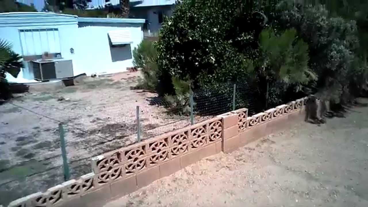 Blade Glimpse Video Sample