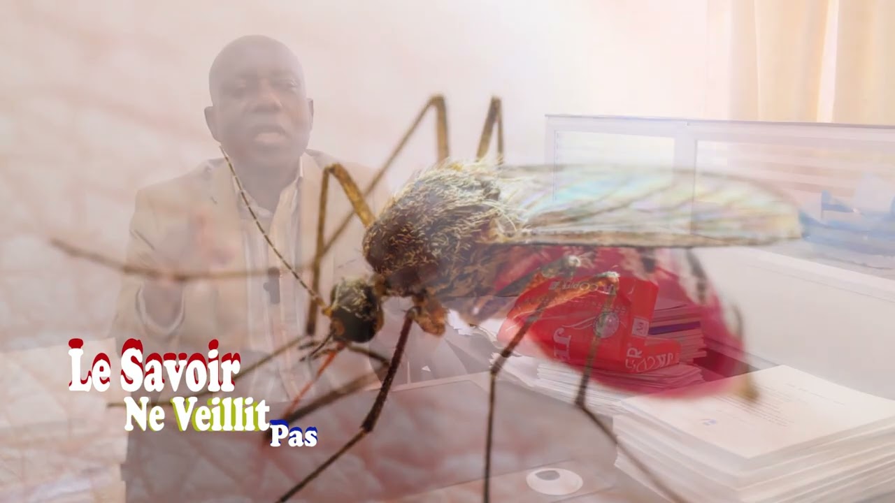 EMISSION LE SAVOIR NE VIEILLIT PAS AVEC LE PROF. MBONGO SODI NAGAHEUDI