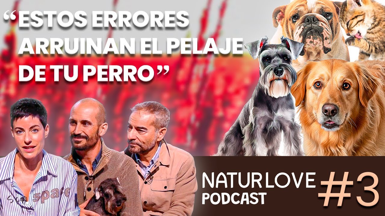 Hablemos de…  Los ERRORES que ENFERMAN la PIEL de tu PERRO | #3