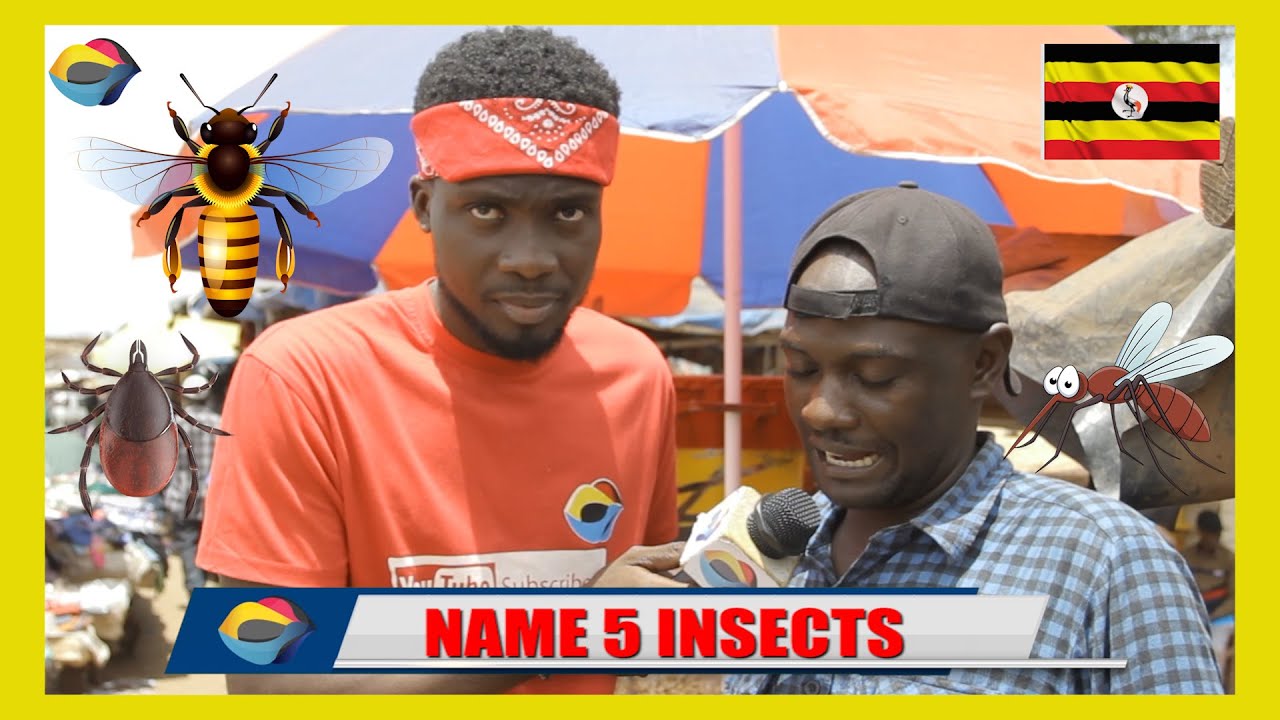 NAME 5 INSECTS | Street Quiz 🇺🇬 | Funny African Videos | Funny Videos | Try Not To Laugh |