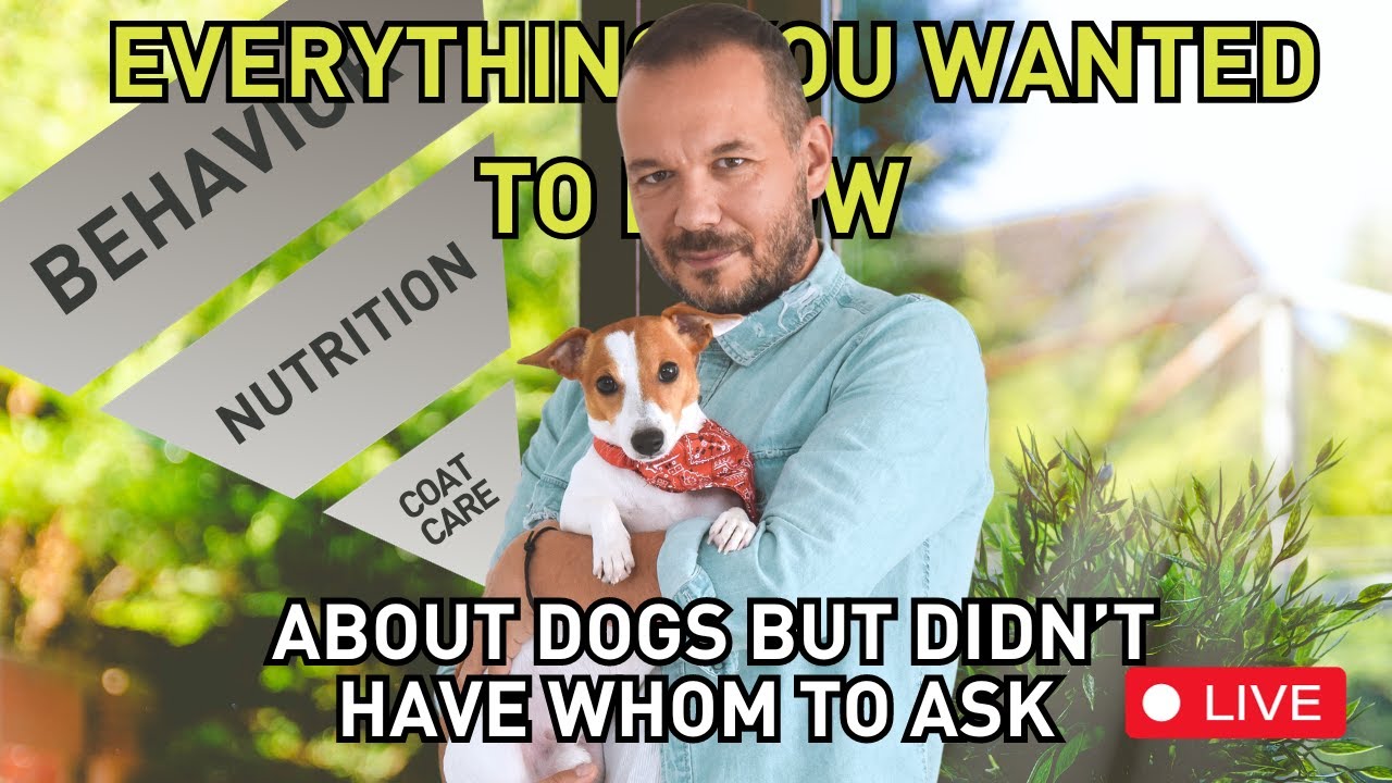 Unveiling the Truth: The Science Behind Dog Behavior and Our Relationship with Them Ep.5