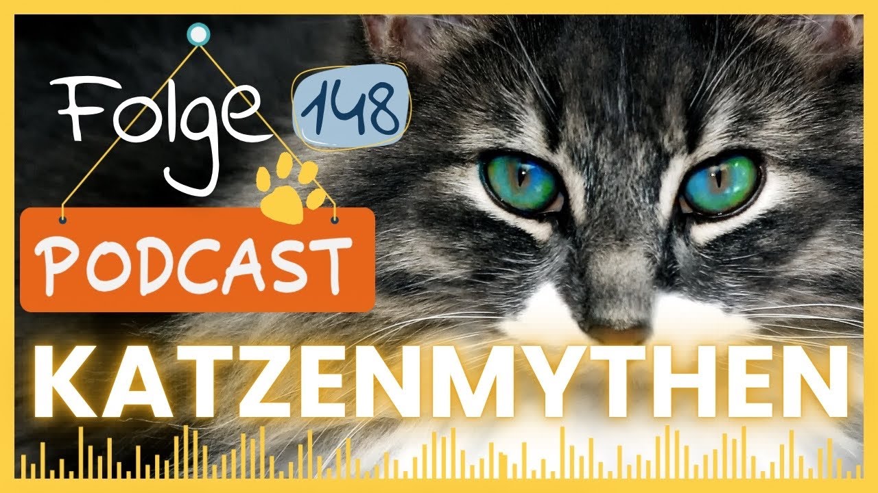 Stimmt das wirklich? Katzenmythen auf dem Prüfstand #148