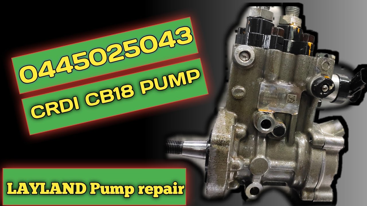 0445025043 layland CB18 PUMP REPAIR