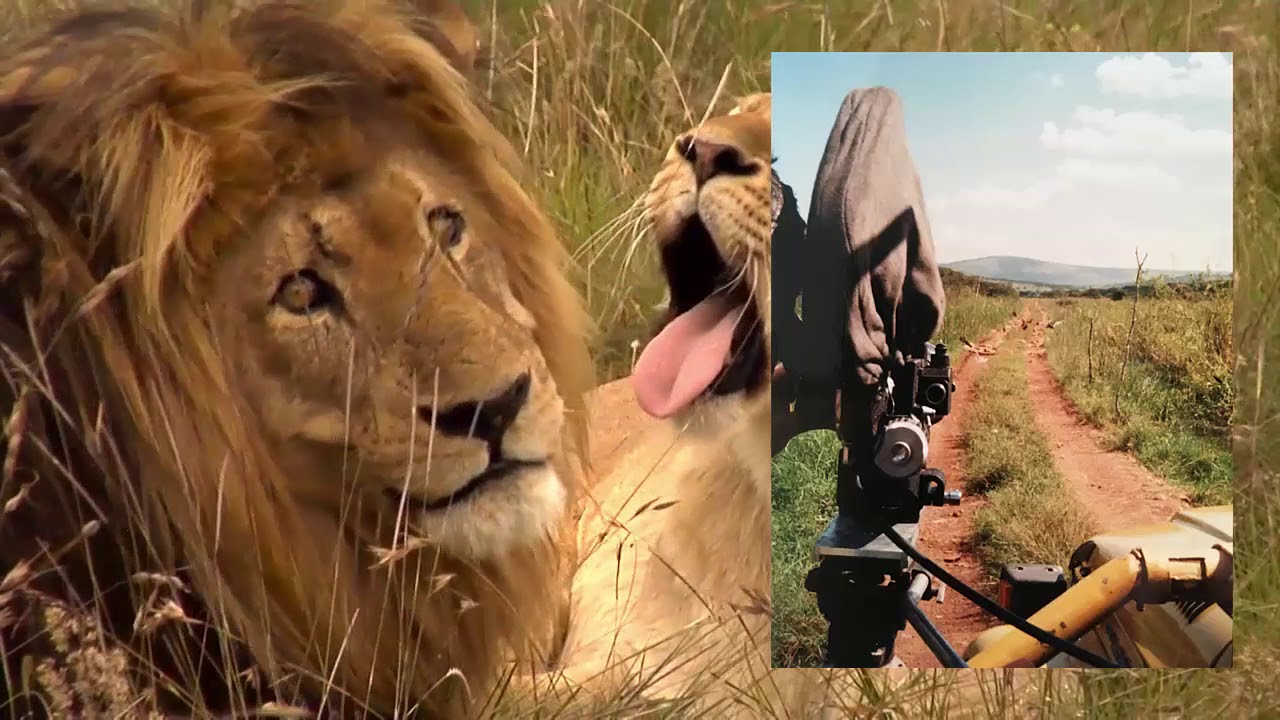 AFRICAN BEAT 03. Heroes