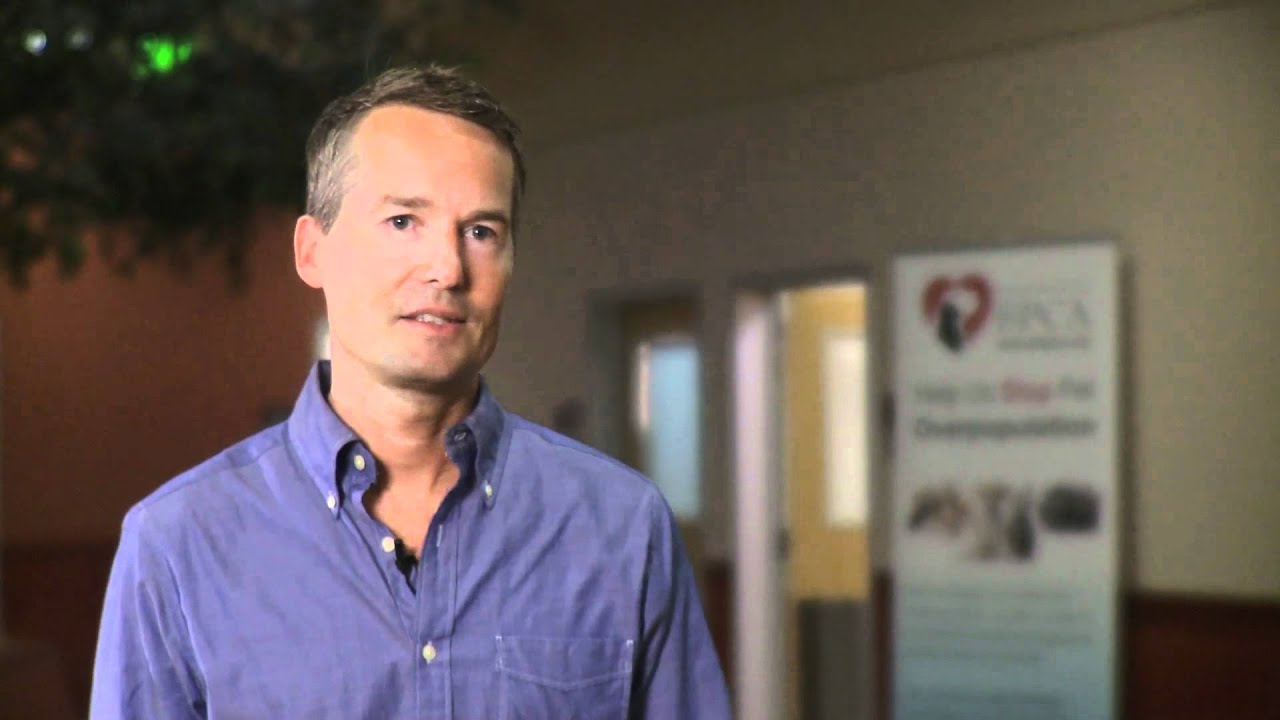 Tour the SF SPCA Veterinary Hospital Video: Behind the Scenes