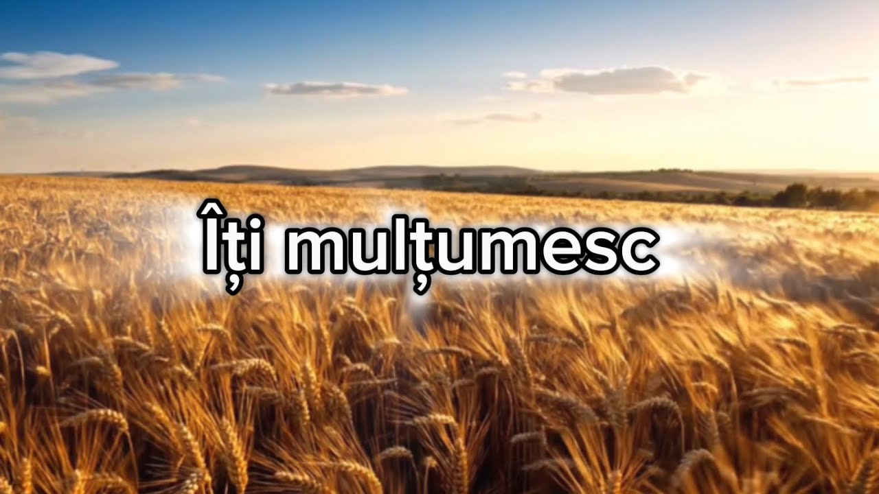 Îți mulțumesc | Cântare creștină | Versuri - Ana Neagoe 