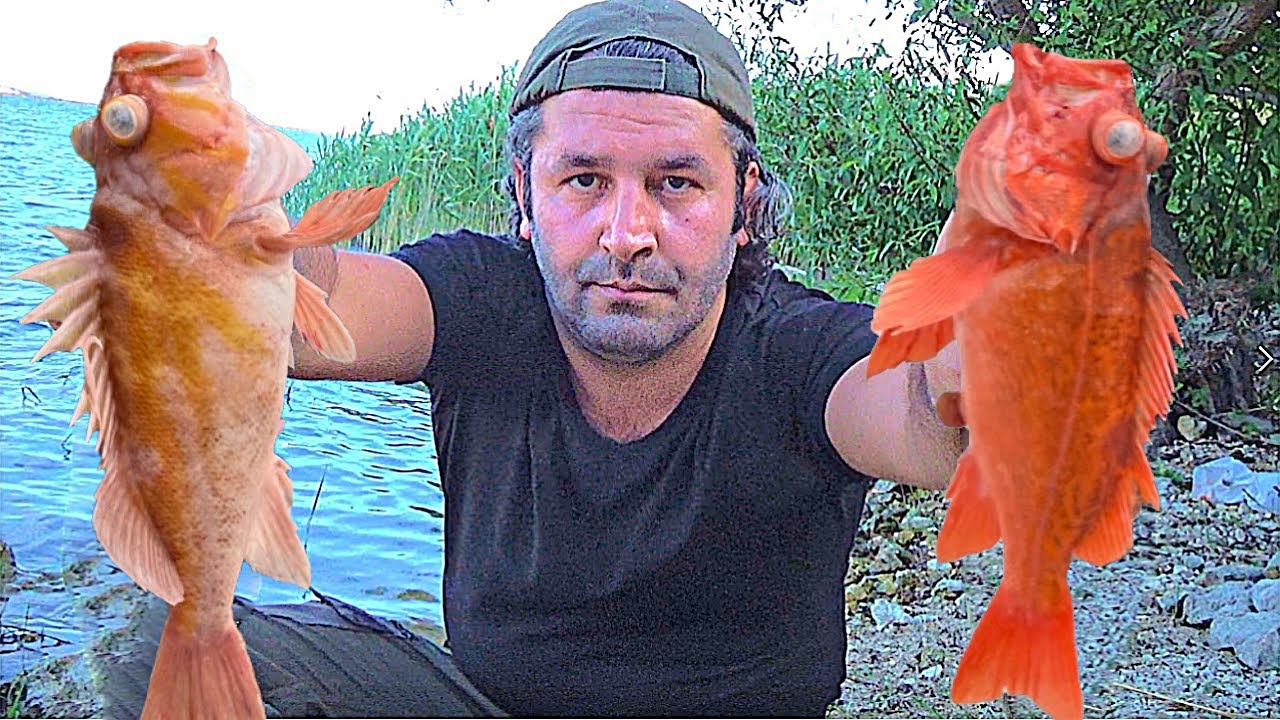 A Fish With Toxic Needle But It Is Very Tasty Scorpionfish / Special Fish Cooking Recipe