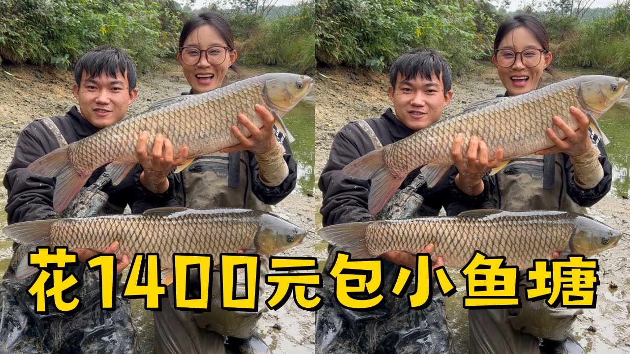 小姨子花1400元包下山脚下的小鱼塘，你们说收货值不值？