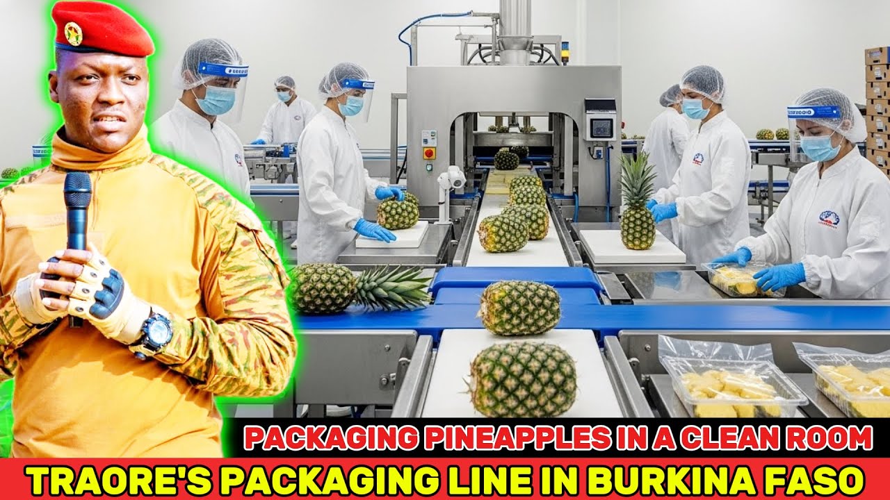 Burkina Faso’s Cleanroom Pineapple Factories — Can Sahel Packaging Meet Export Standards? Traore'