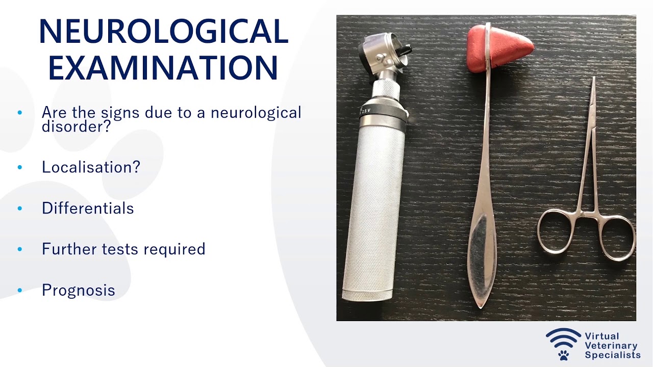 VVS Covid Webinar: Common Neurological Presentations with Dr Simona Radaelli