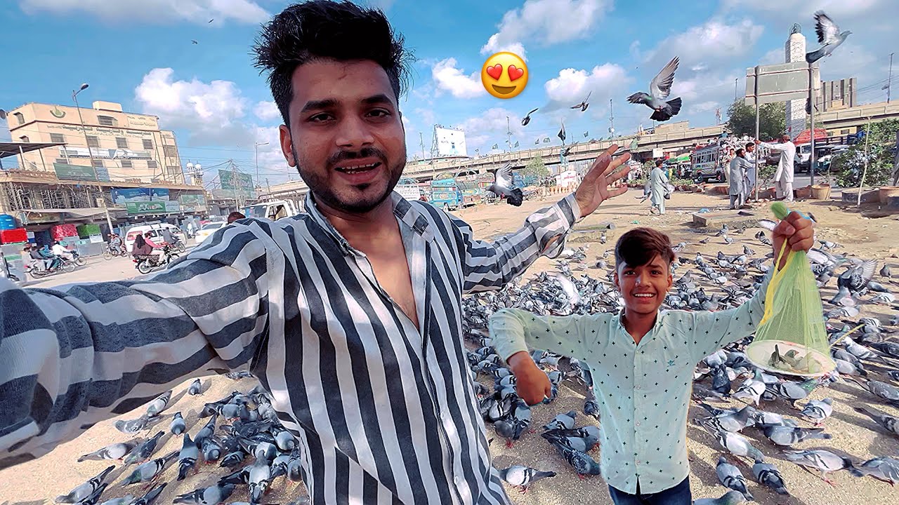 Aaj To Kabutar Pakadne Gaye 🤩