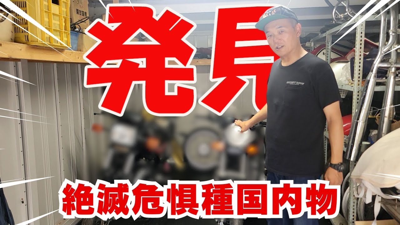 『絶滅危惧種級の極上車両を発見！』国内物の極上F2にしびれっぱなし！今回は久々に震えました！