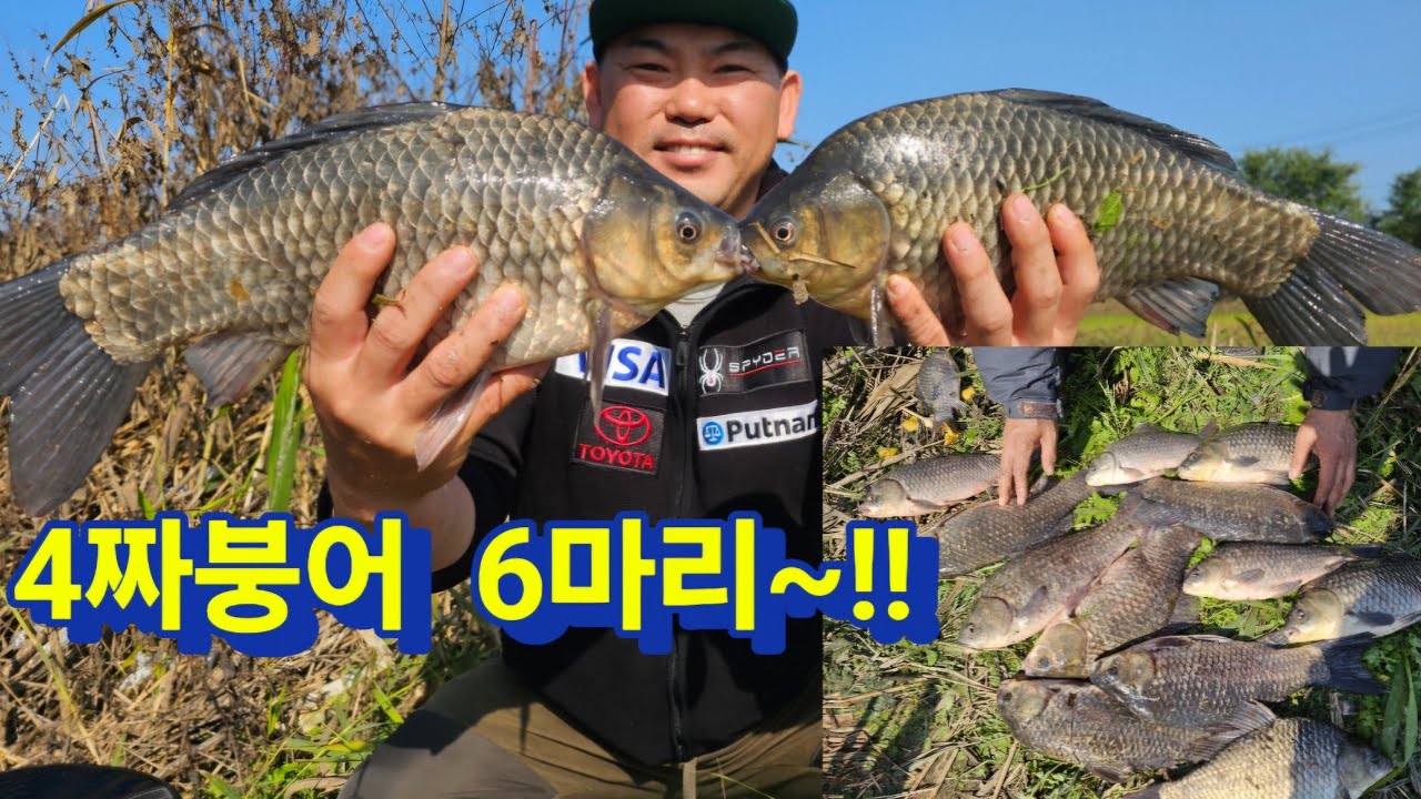 포인트 탐색 갔다가 4짜붕어 마릿수~!!!!!!!!