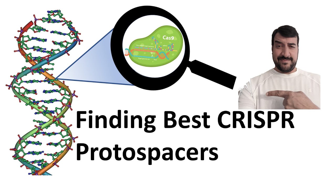 CRISPR gRNA design for targeting efficient protospacers