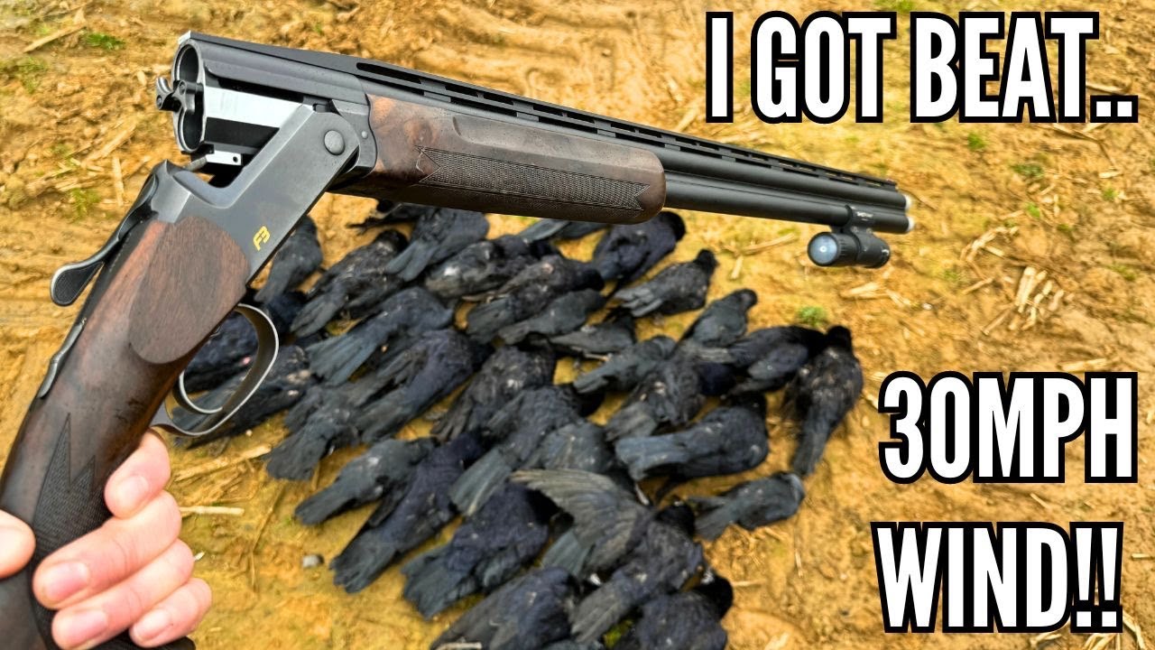 Это было сложно!! | Охота на ворон при сильном ветре | Экстремальная борьба с вредителями | Защит...