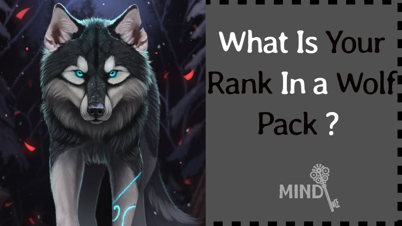 What Is Your Rank In a Wolf Pack ?| Fantasy Quiz