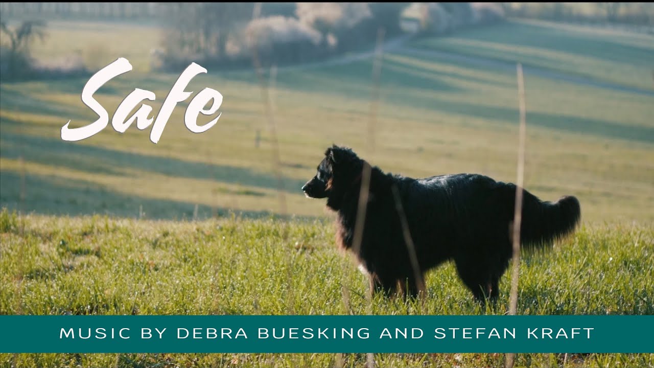 Safe – A Quiet Walk With My Dogs | Orchestral Piano by Debra Buesking & Stefan Kraft