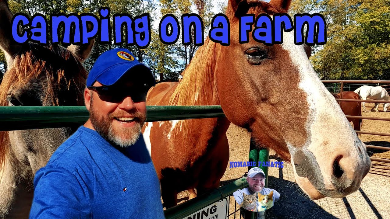 24 Hours Camping on a Working Farm ~ Horses, Donkey's, & Chickens, OH MY!