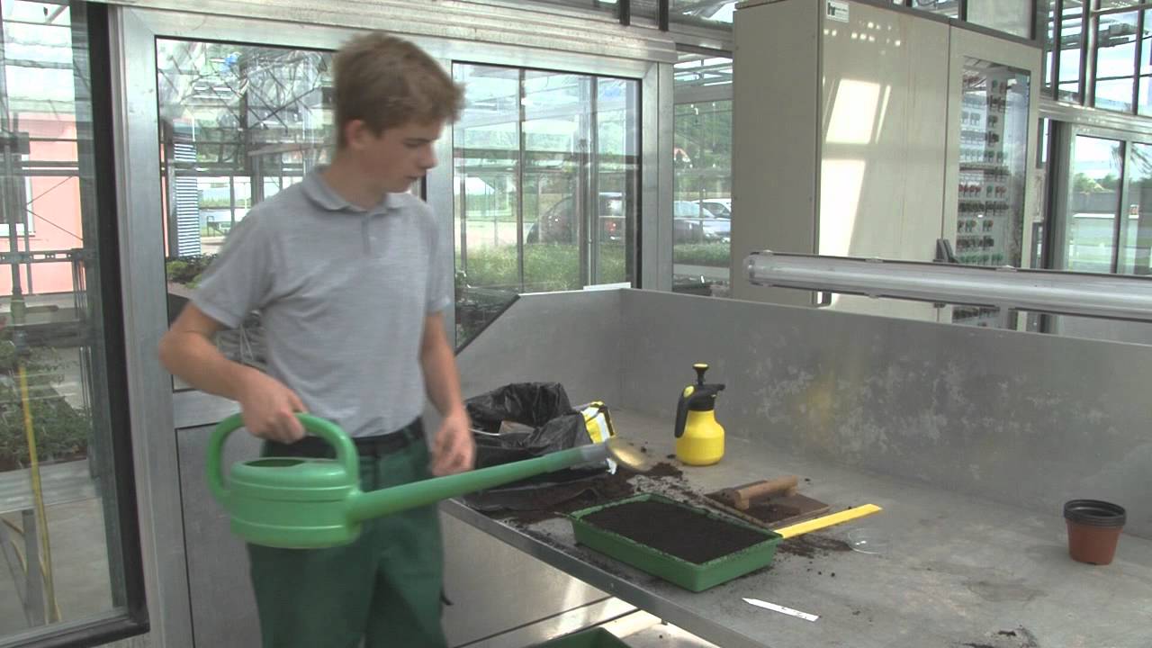 Sächsische Gartenakademie: Richtig säen